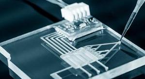 Plasma Cleaner for Microfluidic Devices